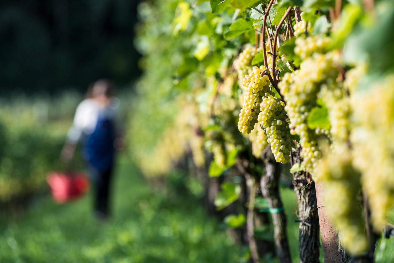 Hotel Christof Appiano Sulla Strada Del Vino Esterno foto